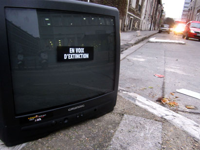 adagesAdhesifs4-archyves