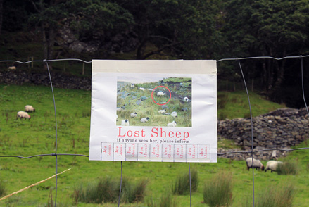 12-09-PERDU-Irlande-photoVladyArt-archyves